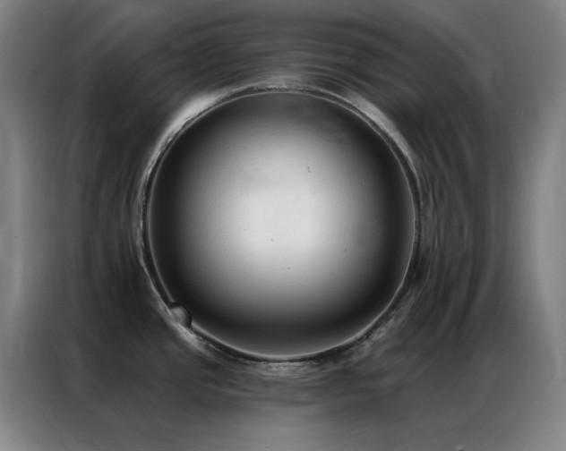 X0000087341437200704201138