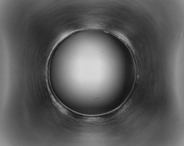 X0000087341439200704201138