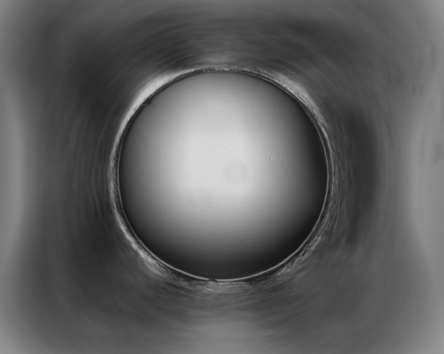 X0000087341440200704201138