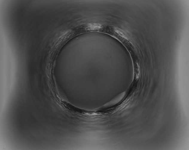 X0000087341441200704201137