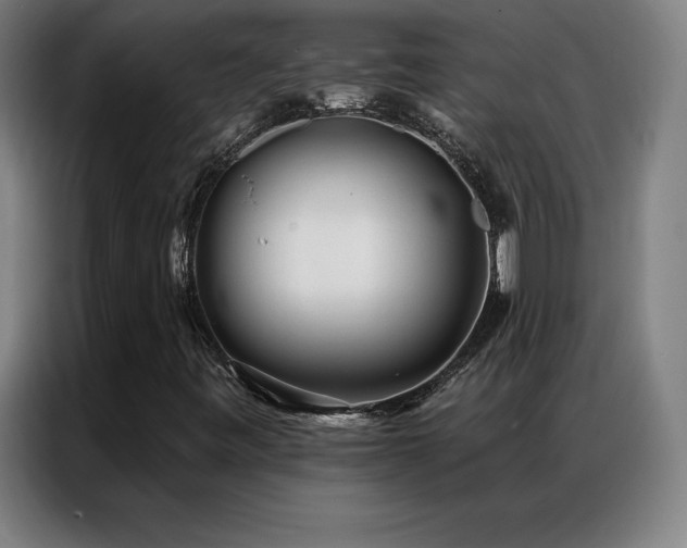 X0000087341443200704201137
