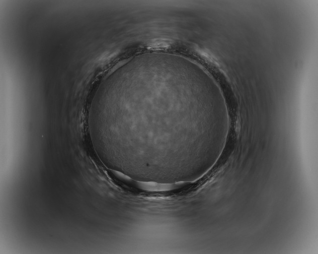 X0000087341445200704201137
