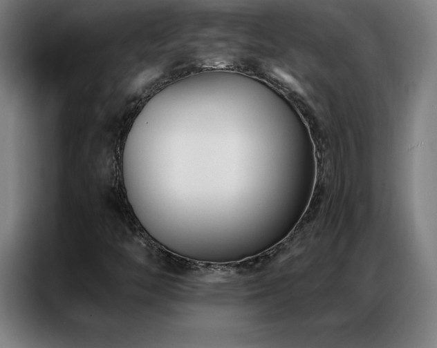 X0000087341446200704201137