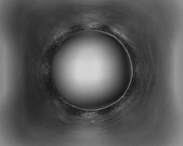 X0000087341447200704201137