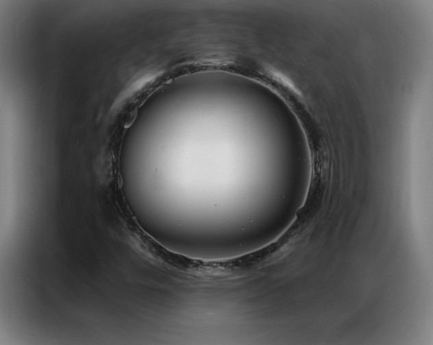 X0000087341448200704201137