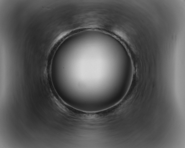 X0000087341452200704201137