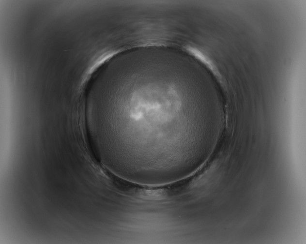 X0000087341453200704201137