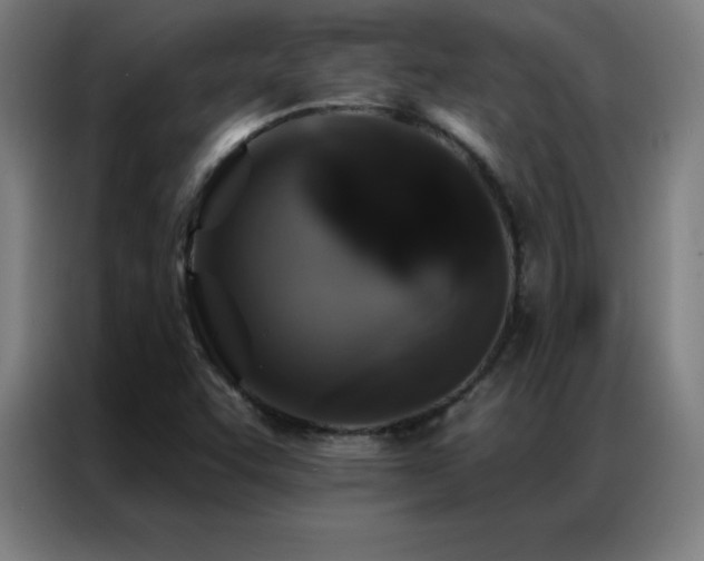 X0000087341455200704201137
