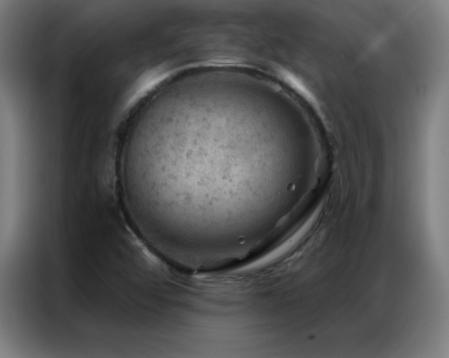X0000087341456200704201137