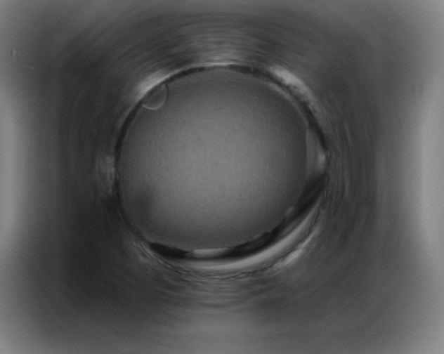 X0000087341457200704201137
