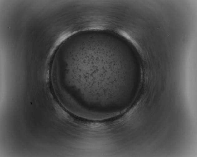 X0000087341459200704201137