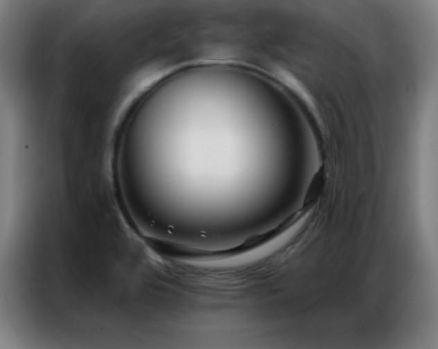 X0000087341464200704201137