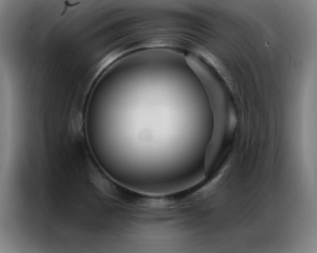 X0000087341465200704201137