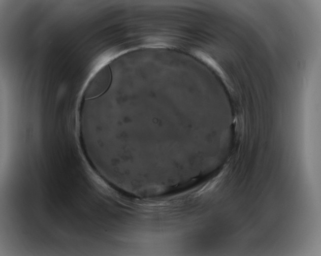 X0000087341467200704201137