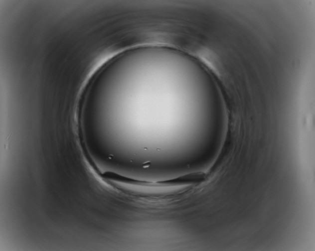 X0000087341468200704201137