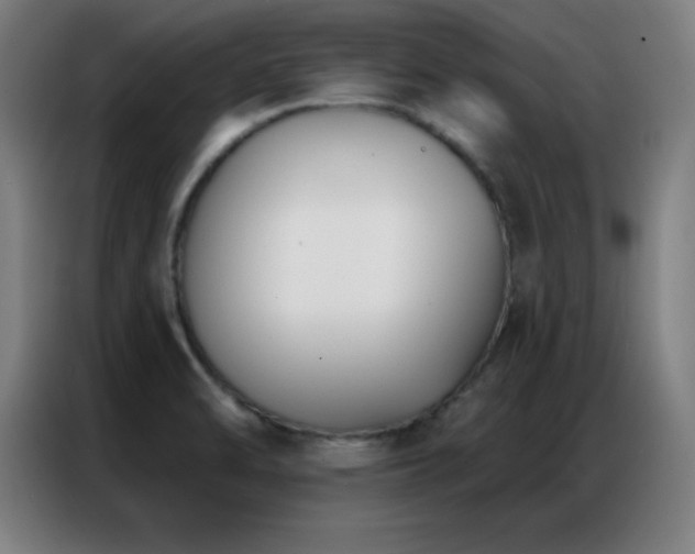 X0000087341470200704201137