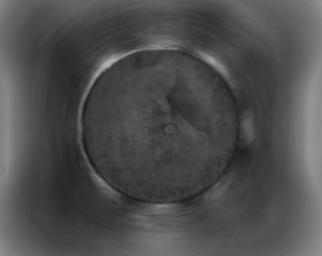 X0000087341471200704201137