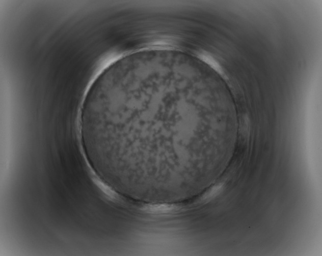 X0000087341474200704201137