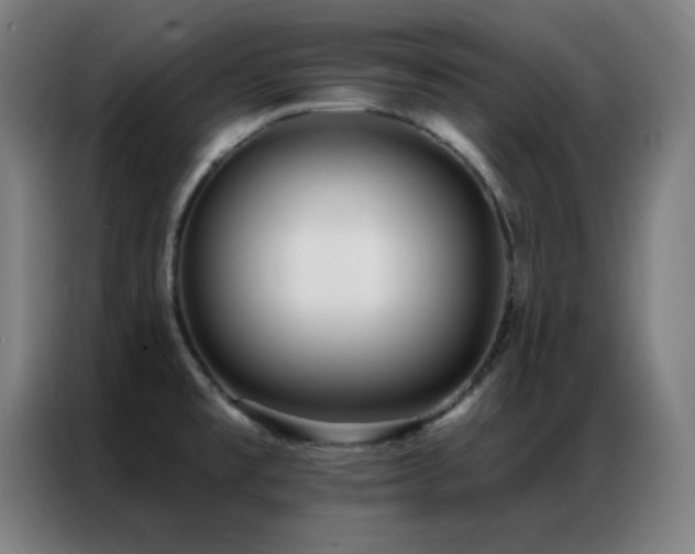 X0000087341477200704201137