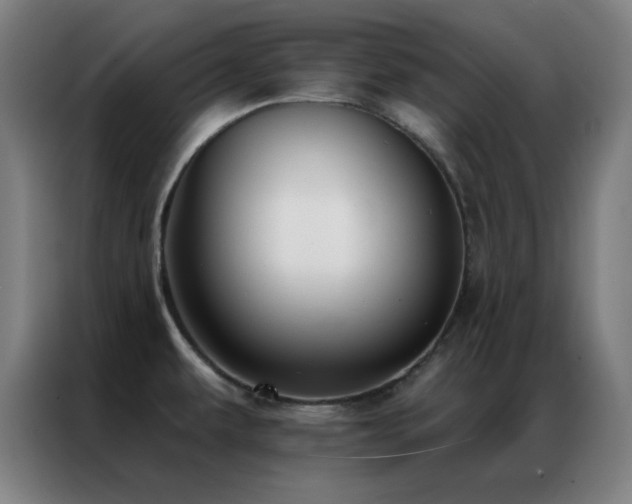 X0000087341479200704201137