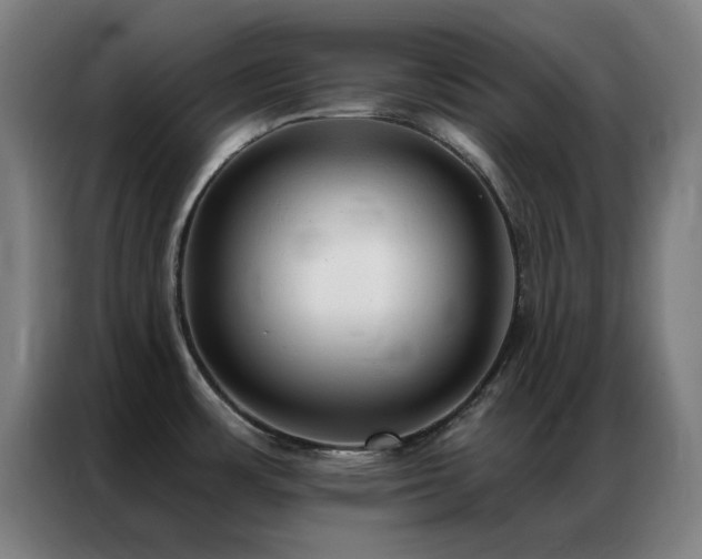 X0000087341483200704201137