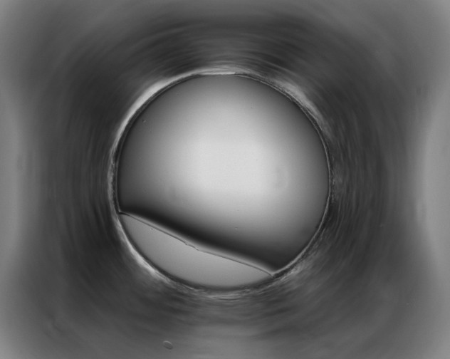 X0000087341484200704201137