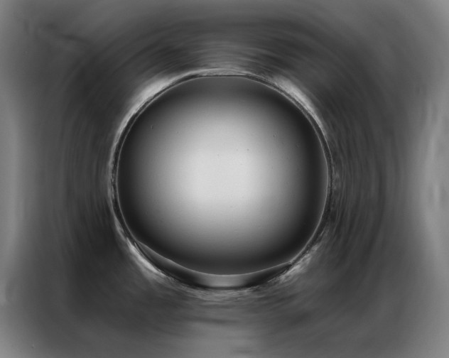 X0000087341485200704201137