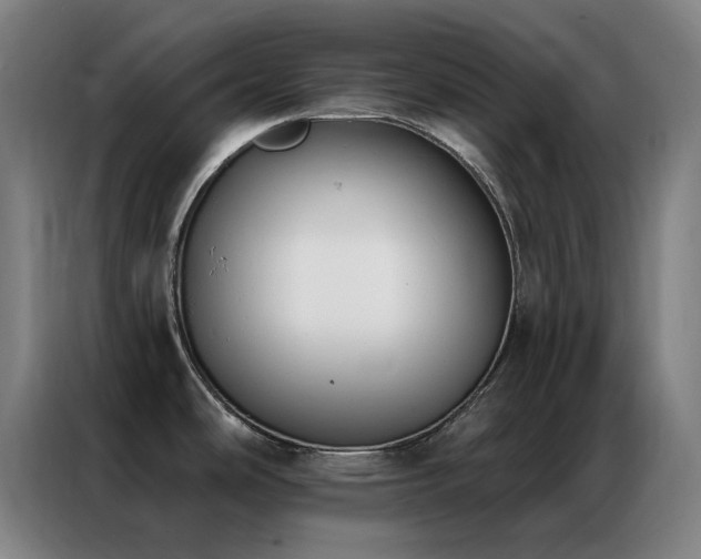 X0000087341486200704201136