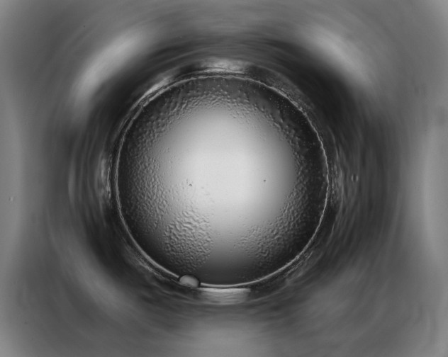 X0000087341487200704201136