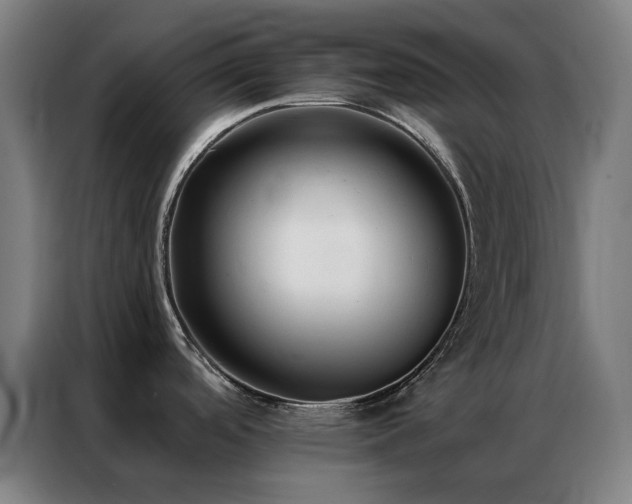 X0000087341488200704201136