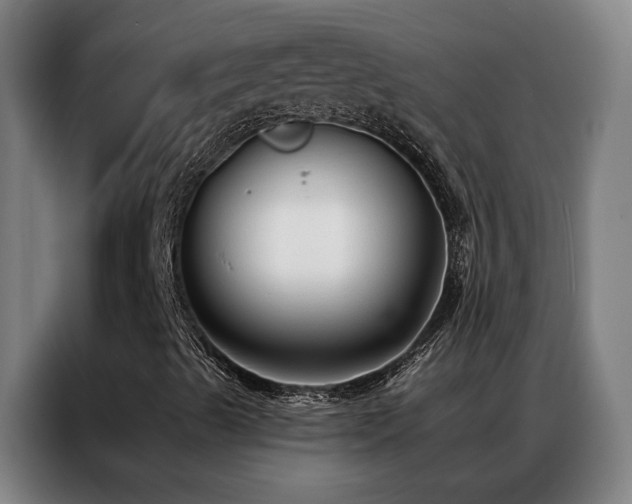 X0000087341489200704201136