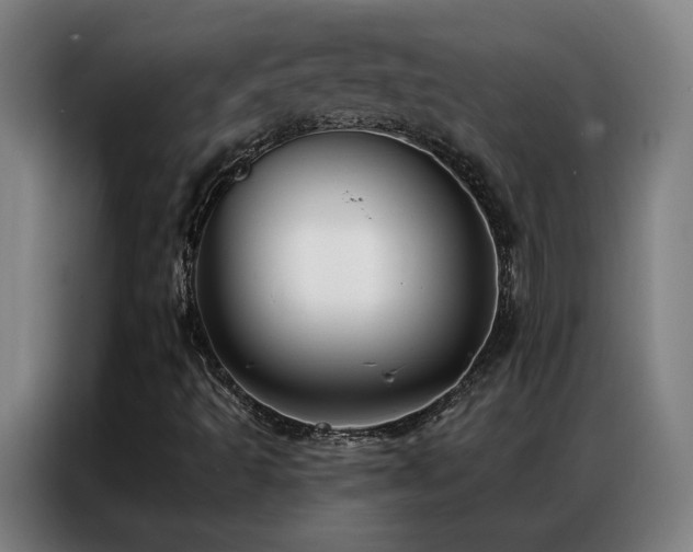 X0000087341493200704201136
