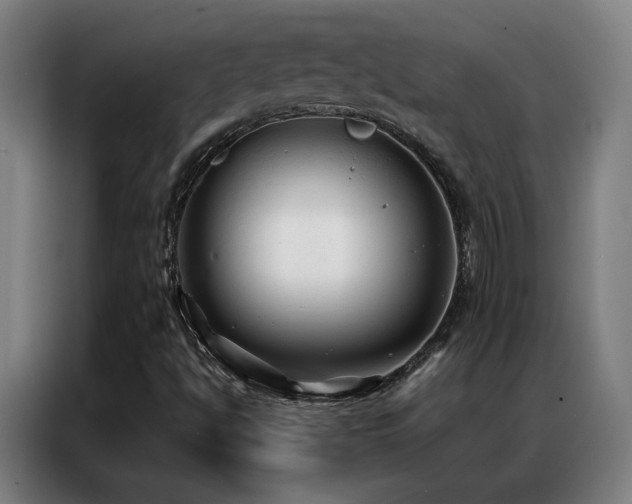 X0000087341494200704201136
