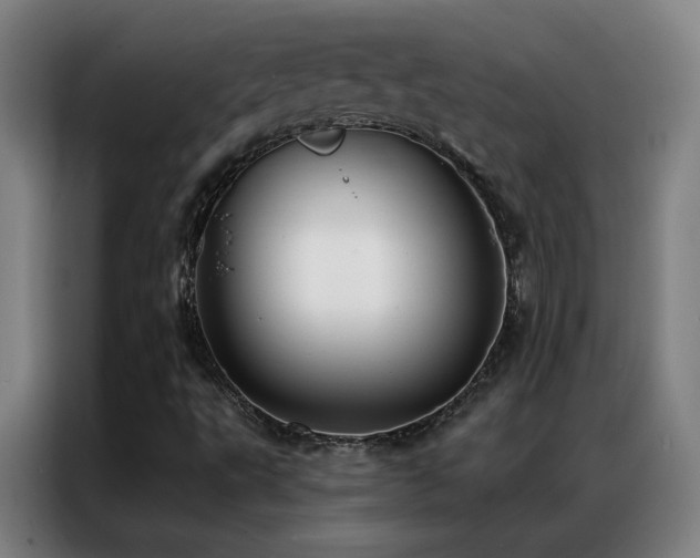X0000087341495200704201136