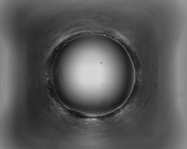 X0000087341496200704201136