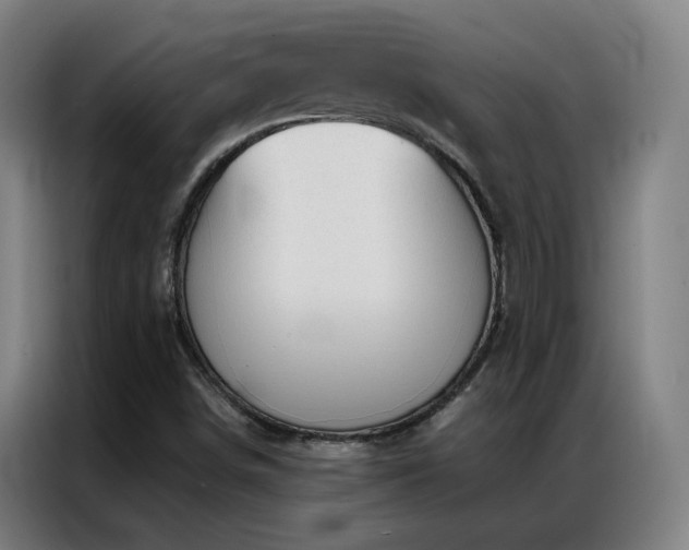 X0000087341498200704201136