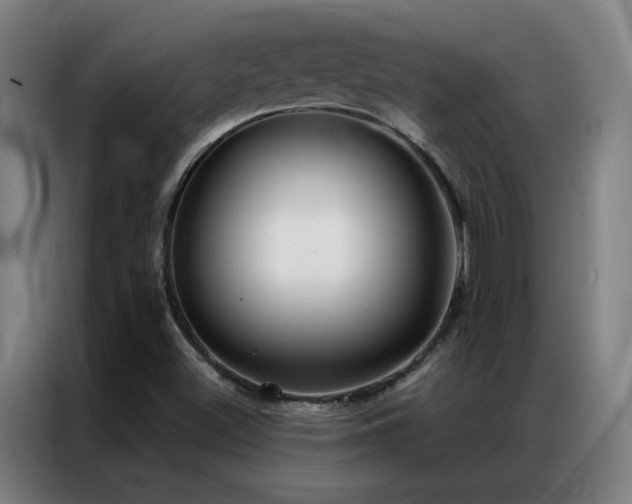 X0000087341500200704201136