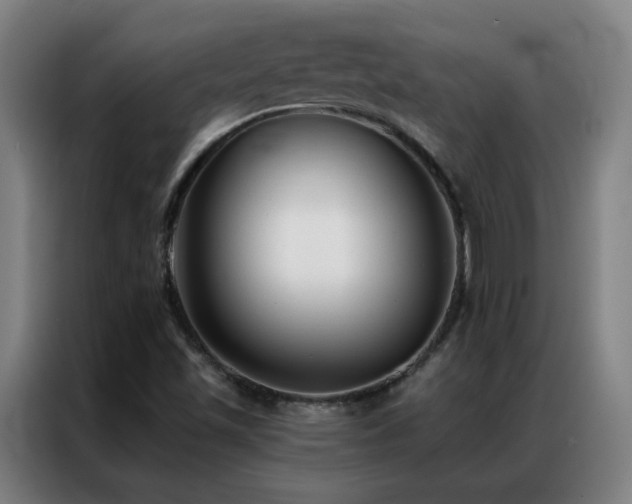 X0000087341501200704201136