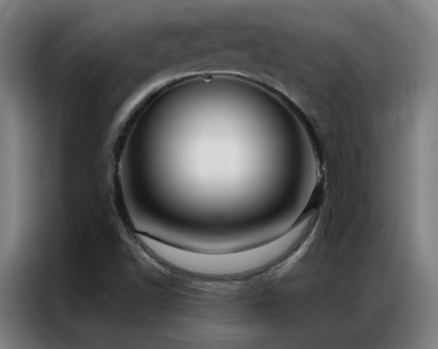 X0000087341502200704201136