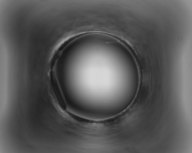 X0000087341503200704201136
