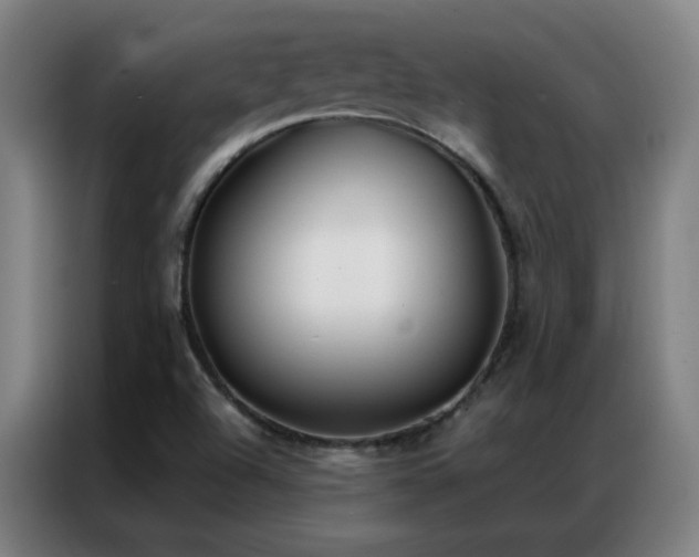 X0000087341504200704201136