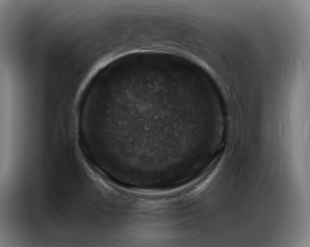 X0000087341506200704201136