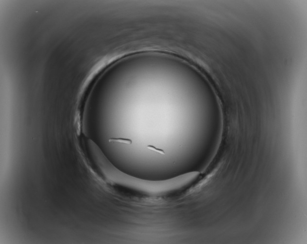 X0000087341509200704201136