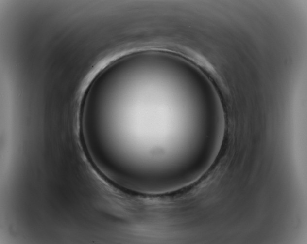 X0000087341512200704201136