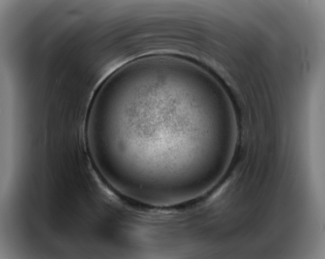 X0000087341513200704201136