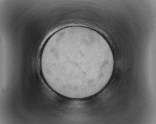 X0000087341514200704201136