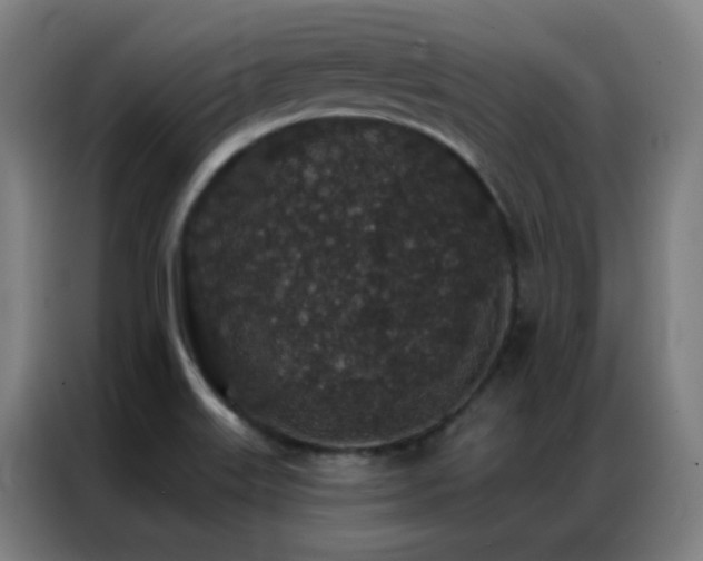 X0000087341515200704201136