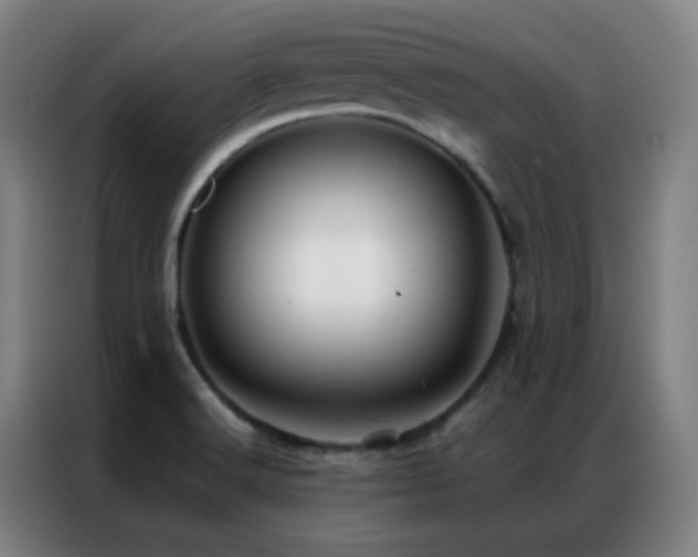 X0000087341516200704201136