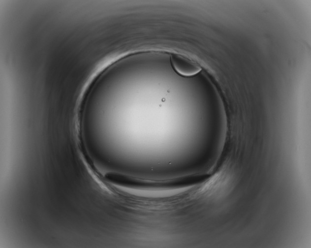 X0000087341517200704201136