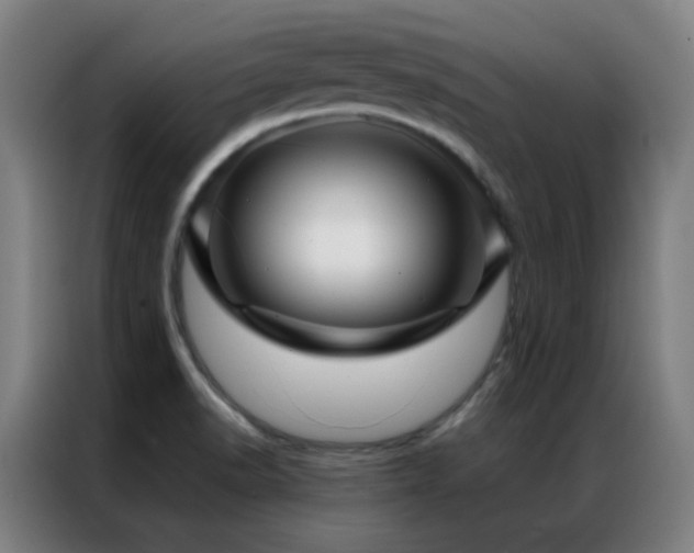 X0000087341518200704201136